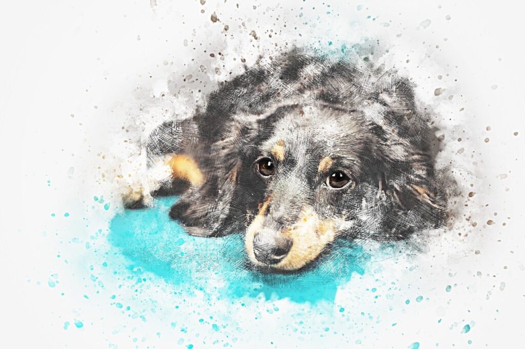 dog-2719601_1280-Bild von JL G auf Pixabay-Das erschrockene Tier-THE SCARED ANIMAL-selbsthilfe-Konfliktlösung-ichbinwert.de