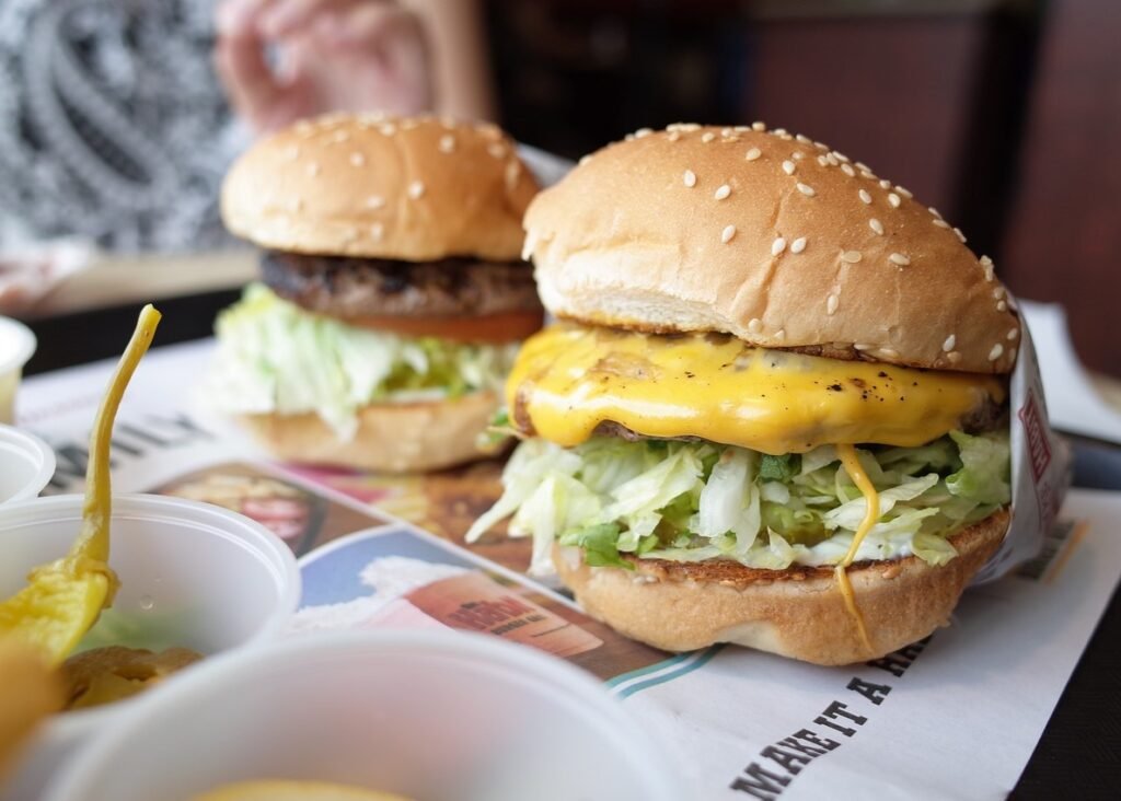 burger-2333280_1280-Bild von Sue Park auf Pixabay-Gewohnheiten-macht der gewohnheit-gewohnheit etablieren-ichbinwert.de